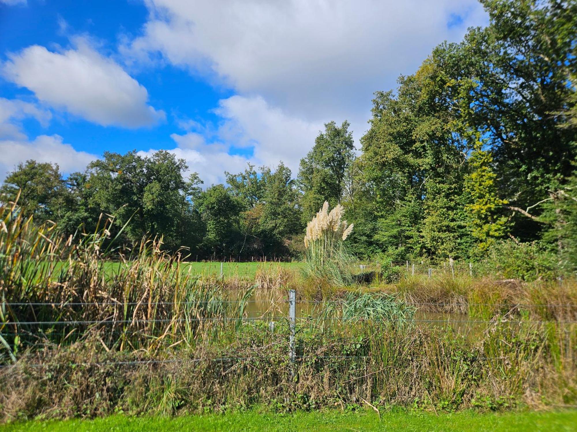 Accommodatie bij particulieren Pisseloup *